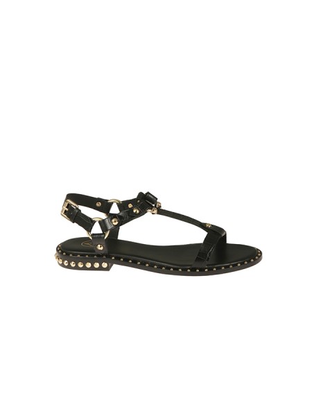 Scarpa Ash Patsy Bis Black