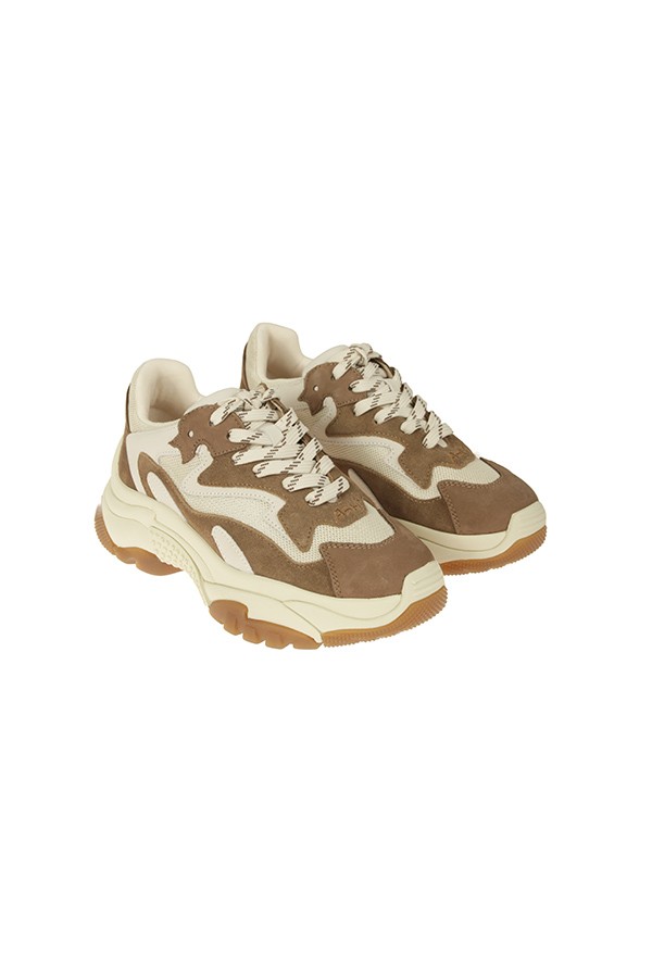 Sneakers Ash Addict Talco/Marrone