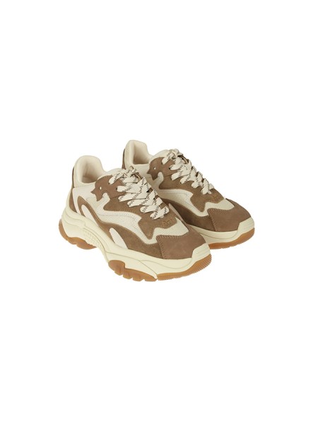 Sneakers Ash Addict Talco/Marrone