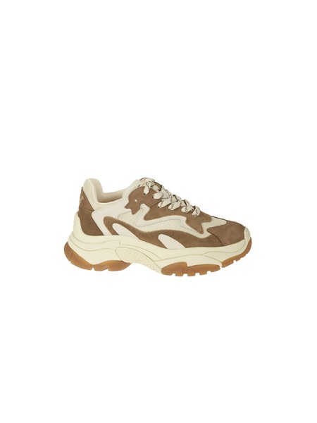 Sneakers Ash Addict Talco/Marrone