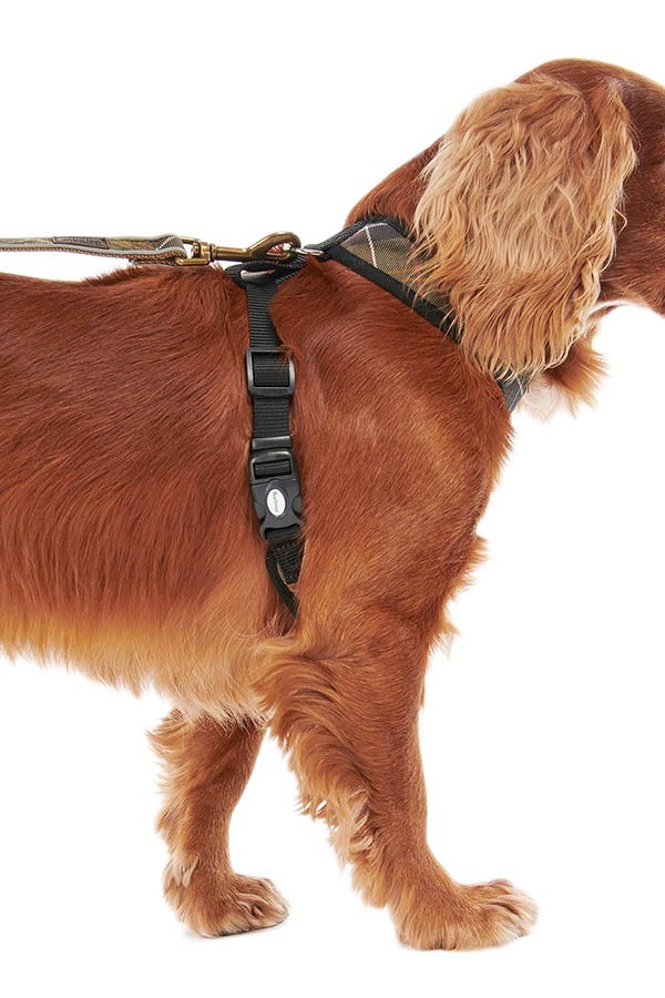 Barbour Tartan Dog Harness