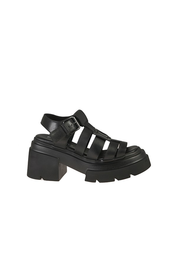 ELENA IACHI ELENA IACHI