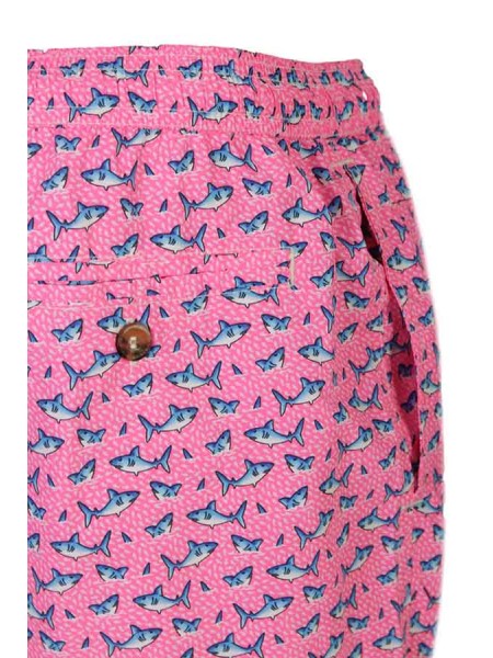 Boxer Mare MC2 Fantasia