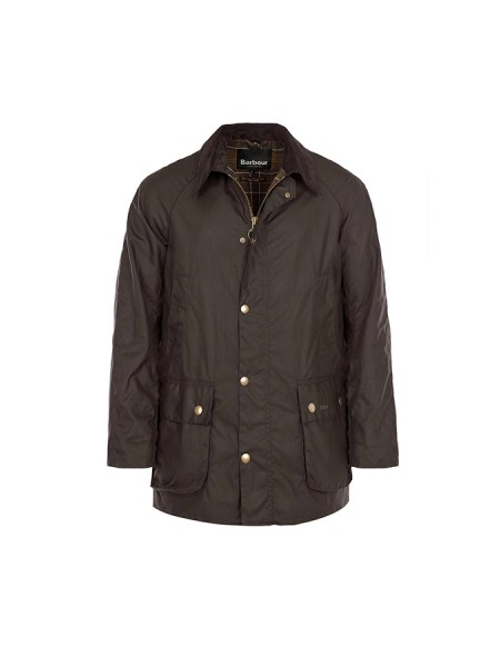 Giubbino Barbour Ashby Oliva