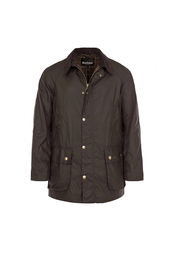 Ashby Oliva BARBOUR jacket