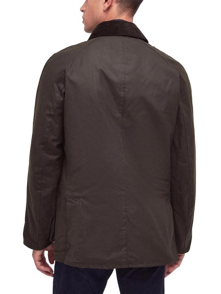 Giubbino Barbour Ashby Oliva