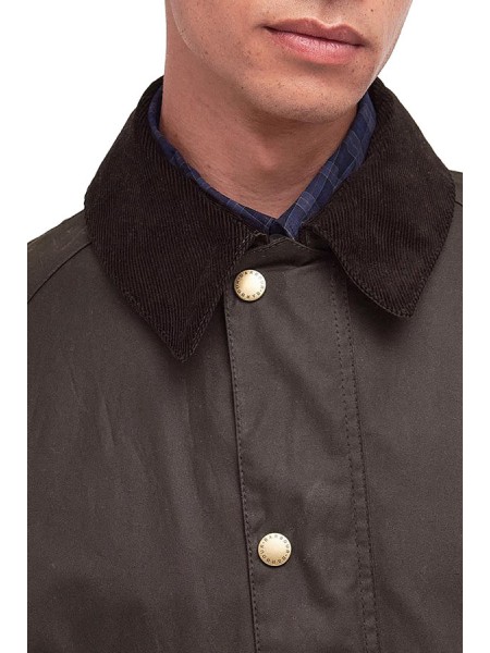 Giubbino Barbour Ashby Oliva